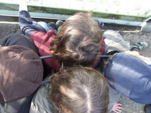 D-locked_around_necks_and_gate