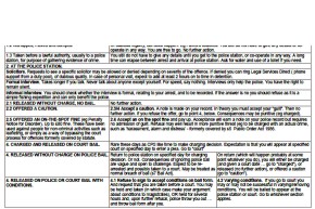 Options_following_arrest_text