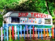 4696939419_58b8919633