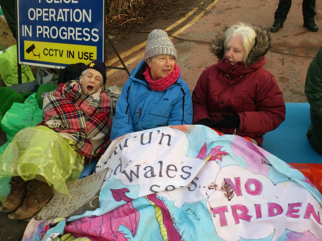 What is it like to blockade in a Non Violent Direct Action?